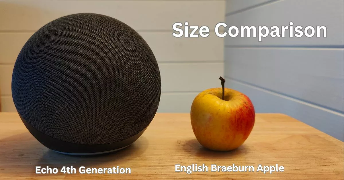 Echo 4th Generation Size Comparison